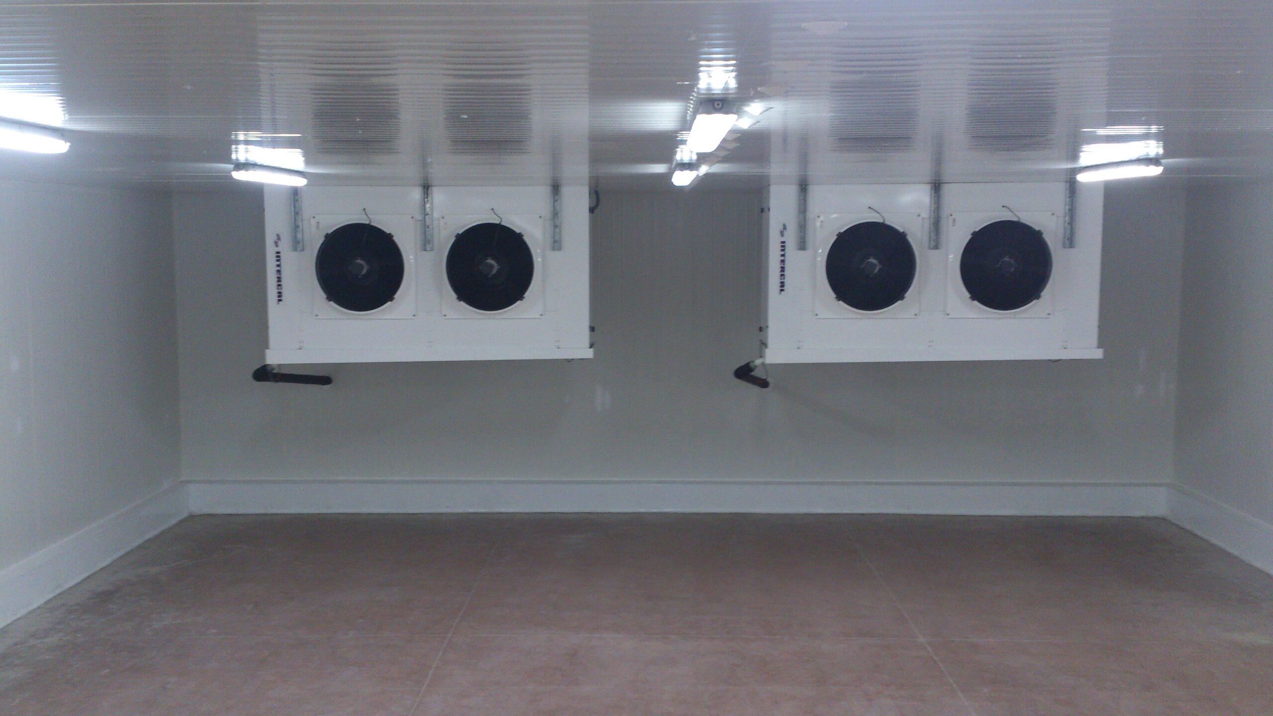 From Cold proyecto 2
